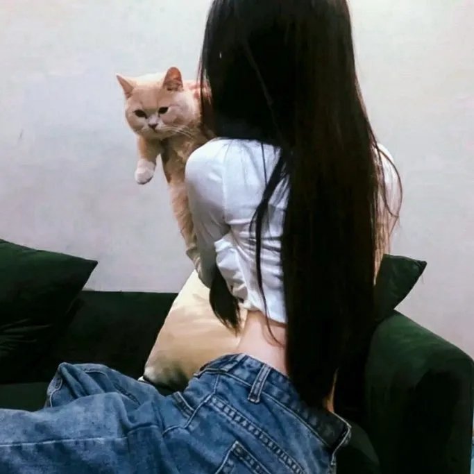 碧窗艳影